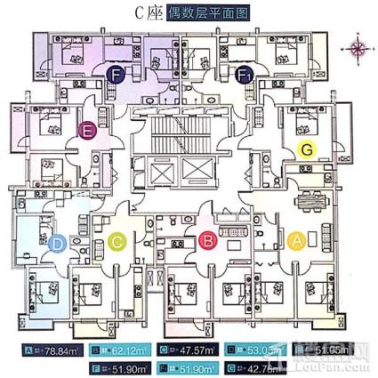 42.76平-78.84平C座偶数层平面图