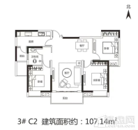 致地昭华府C2户型图