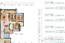 禧临门1号楼4户型 3室2厅2卫1厨