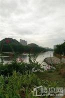 碧桂园城市之光周边配套-红树林湿地公园