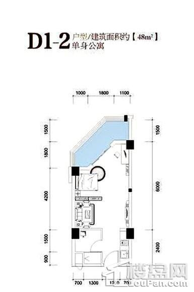 D1-2户型