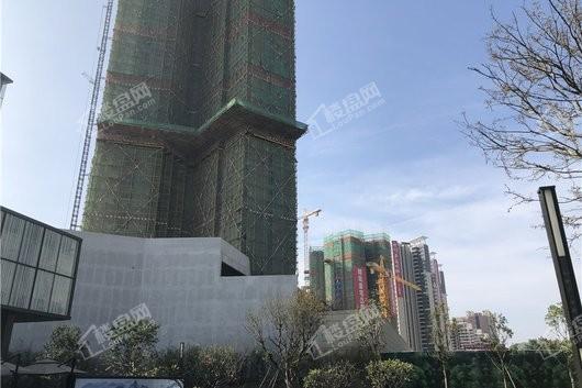 中洲半岛城邦四期楼栋施工进展