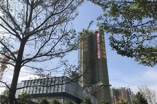 中洲半岛城邦四期楼栋施工进展图