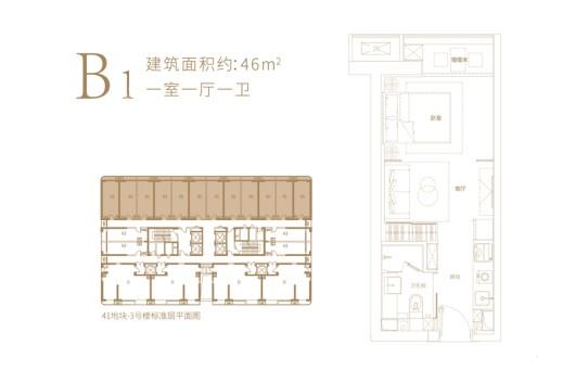 宝能·郑州中心B1户型 1室1厅1卫1厨