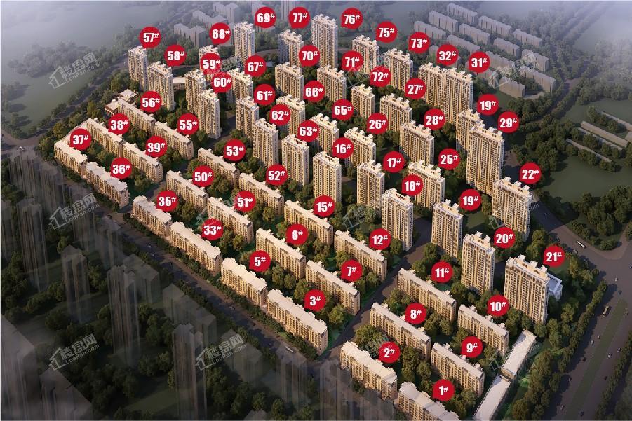 中海康城楼栋图