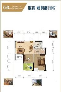 联投梧桐郡悦园G3户型 2室2厅1卫1厨