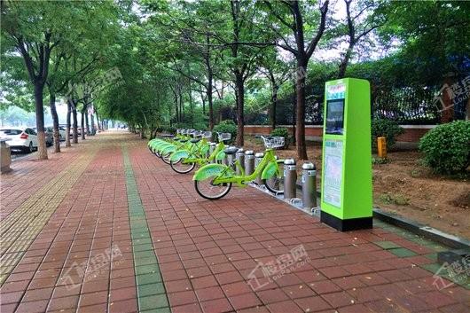 龙泉国际广场周边公共自行车