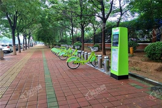 龙泉国际广场周边公共自行车