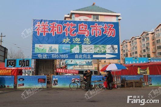 隆福佳苑祥和花鸟市场