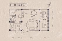 碧桂园金叶子负一层 5室3厅5卫1厨