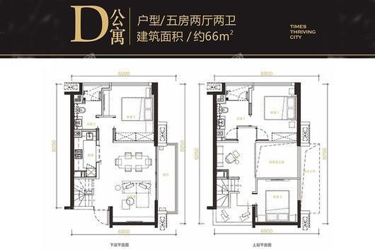 时代荟D公寓 5室2厅2卫1厨