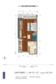 财富时代广场平层公寓单开间户型 1室1厅1卫1厨