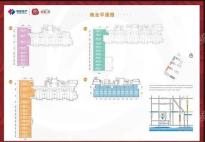 澋悦苑商铺商业平面图