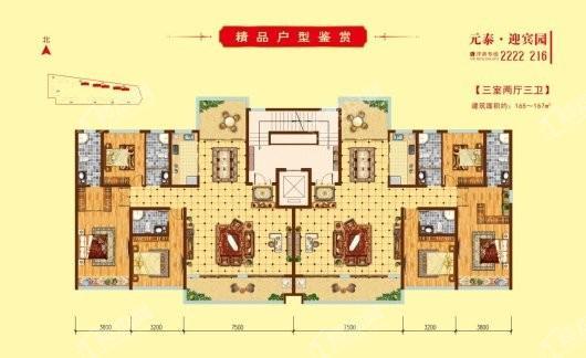 元泰 迎宾园D户型 3室2厅2卫1厨