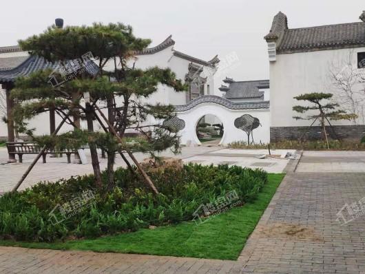 杨家埠文化创意梦想小镇项目绿化