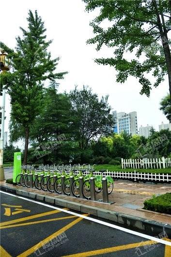 丹穗龙山金谷周边-公共自行车