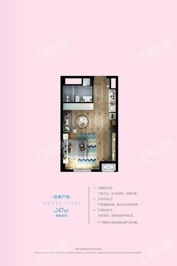 长江青年城A3#47平米平层户型 1室1厅1卫1厨