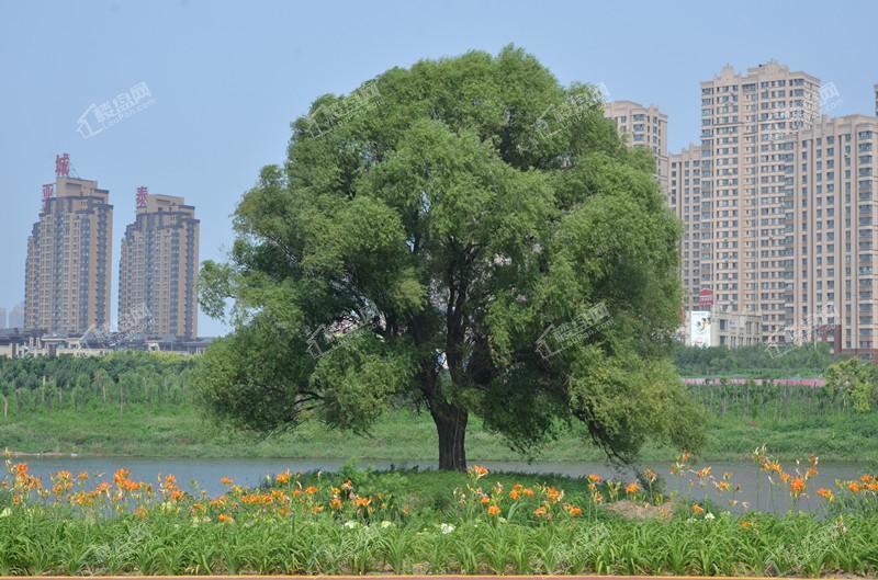 清河半岛实景图