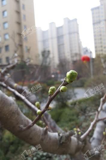 水景雅居