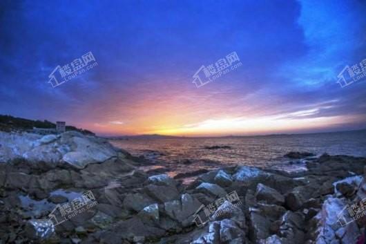 海暖樱花公馆海景