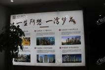 宝湾·国际城项目信息展示