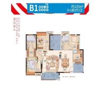 碧桂园蜜柚B1户型125平米