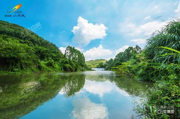 碧桂园山河城实景图