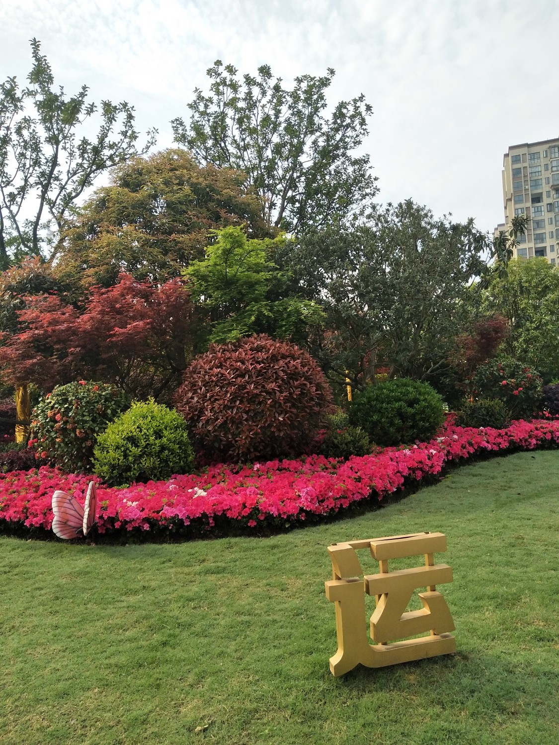 奥园冠军城绿植实景