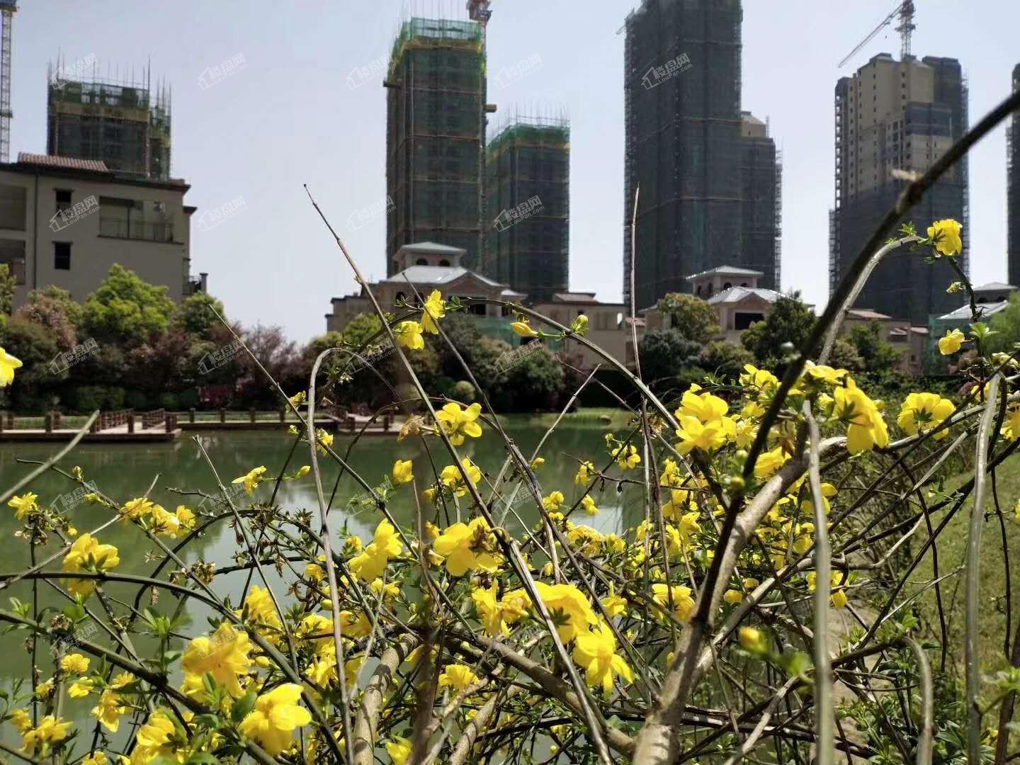 奥园冠军城湖景实景