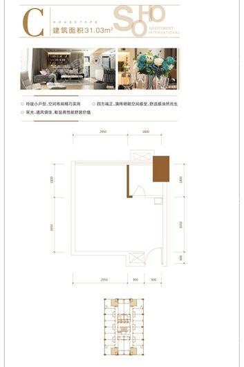 重庆湾公寓C户型 1室1卫1厨