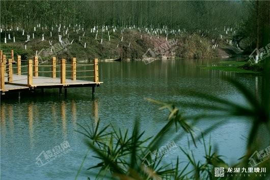 龙湖·九里晴川·揽境项目周边九曲河湿地公园
