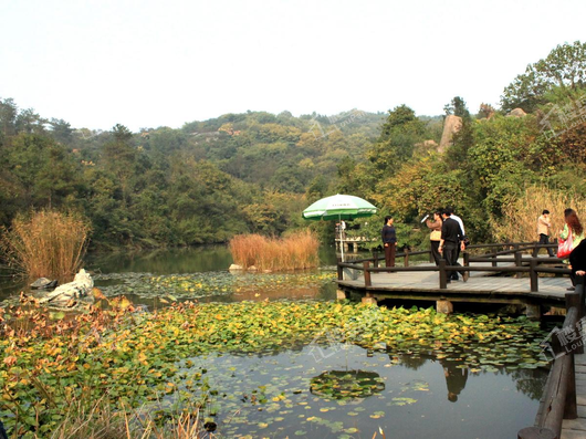 恒大绿岛新城周边公园