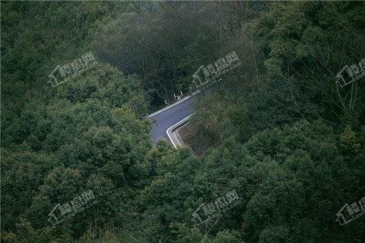 新江与城·天奕周边九曲河湿地公园