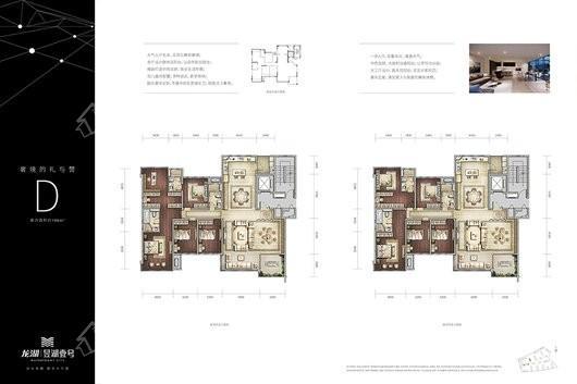 龙湖昱湖壹号D户型套内196㎡ 5室2厅3卫1厨