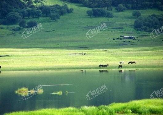 爱普澜天湖景观实景