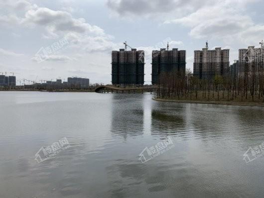 春风南岸体育公园实景