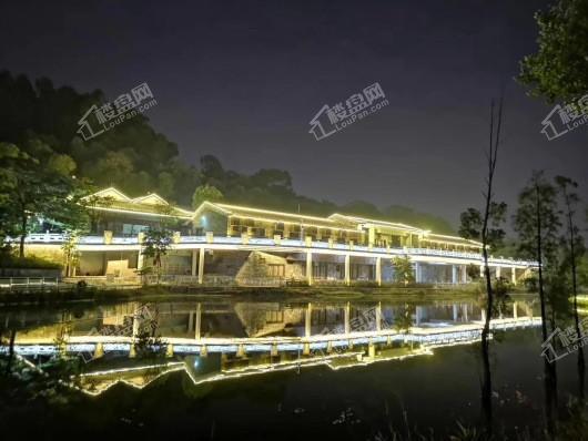 万科东新翡翠松湖周边夜景