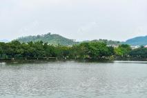 碧桂园东湖世家东湖公园实景