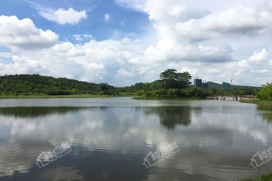 国瑞·山湖海庄园距离项目100米鹤山共和生态园