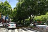 融信天樾府距离项目约200米的街道绿化
