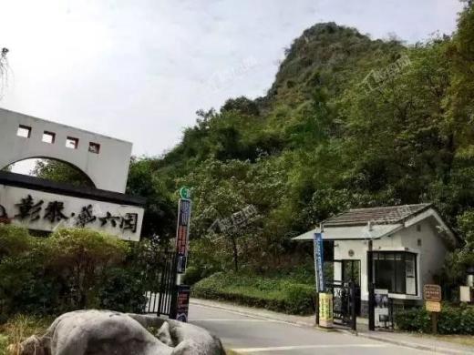 彰泰第六园实景图