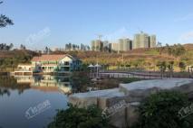 惠州恒大悦龙台项目周边配套-大亚湾儿童公园