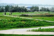 万科京都荟距离项目1.8公里的滨江湿地公园