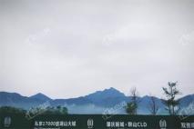 鼎湖山水名城实景图