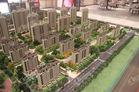中海城项目住宅规划沙盘图