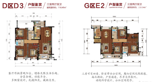 D区D3、G区E2