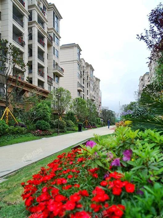 绥阳林达阳光城