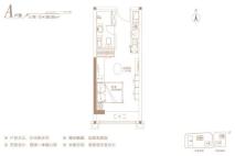 华润新时代广场A户型 1室1厅1卫1厨
