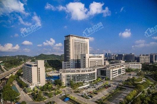康利城周边配套-深圳市第三人民医院