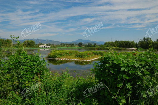 悦庭雅苑周边龙泉湖公园